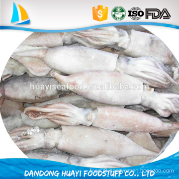 wholesale frozen baby squid at low price